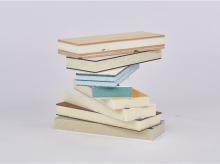 德國(guó)衛(wèi)仕房車(chē)復(fù)合板